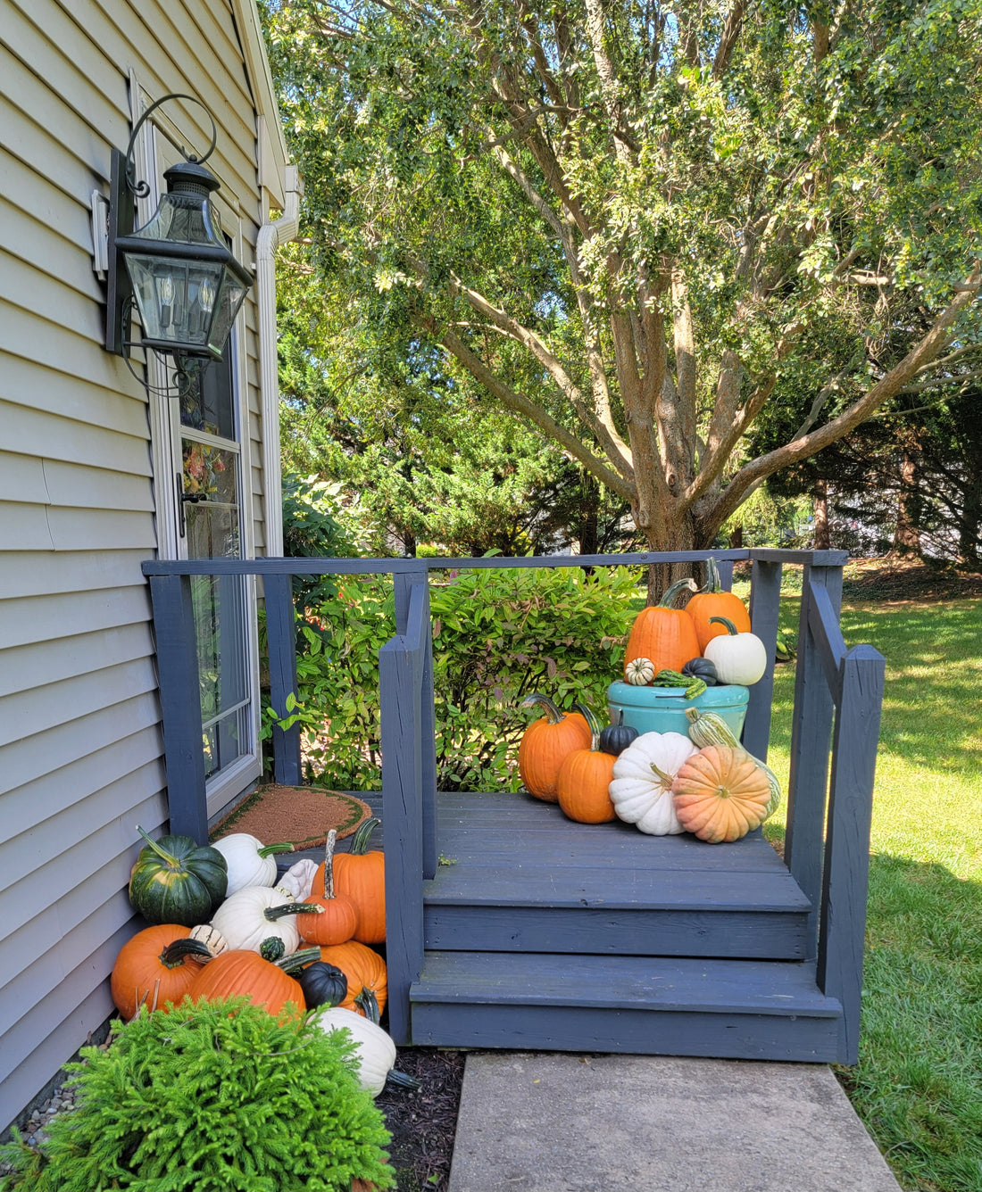 No. 1 The Classic Porch