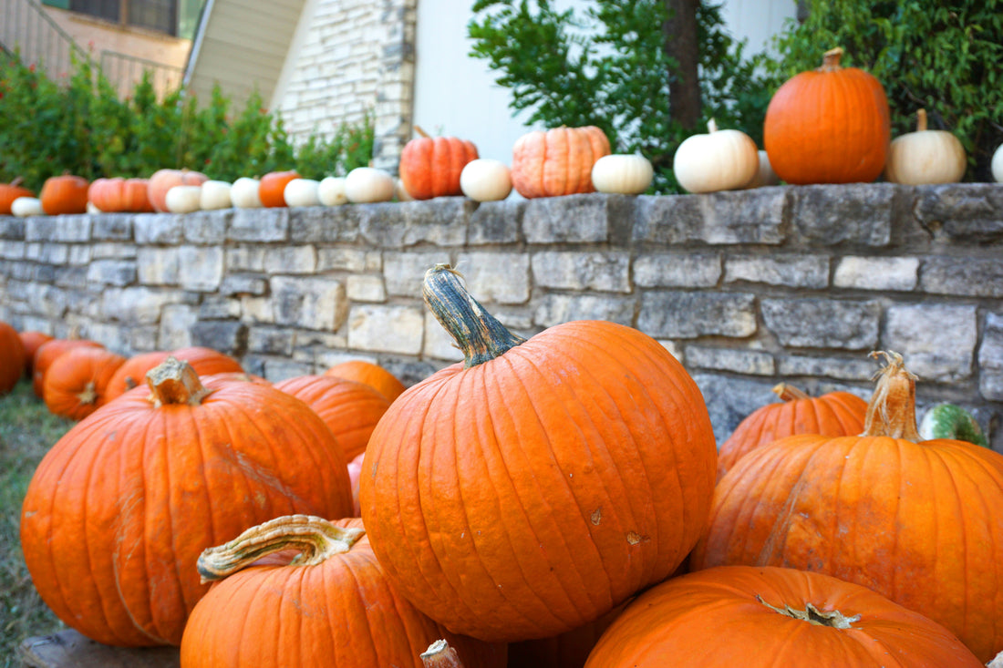 No. 4 Pumpkins Everywhere