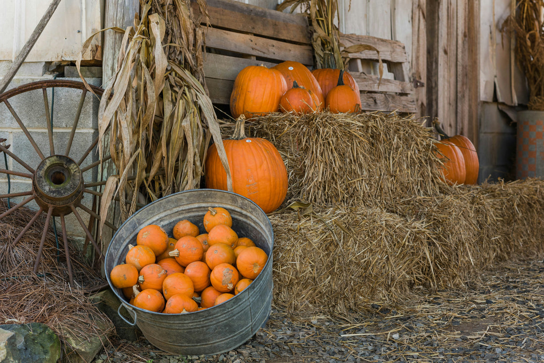 Hay Bale (Add-On Only)