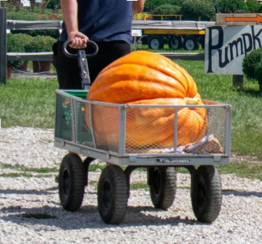 Grand Pumpkin (Add-On Only)