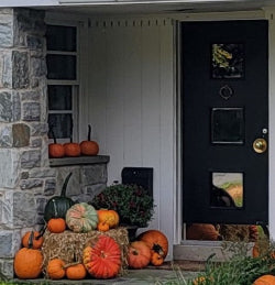 No. 6 The Petite Porch Package